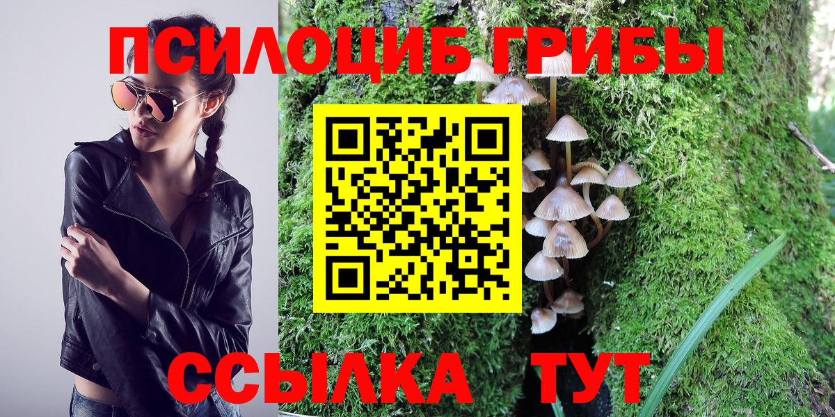 Галлюциногенные грибы MAGIC MUSHROOMS  Вход с VPN  Галлюциногенные грибы Psilocybe  Волжский 